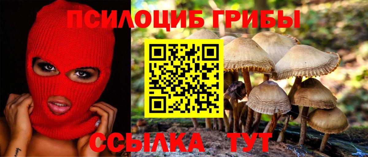 Псилоцибиновые грибы MAGIC MUSHROOMS Тимашёвск