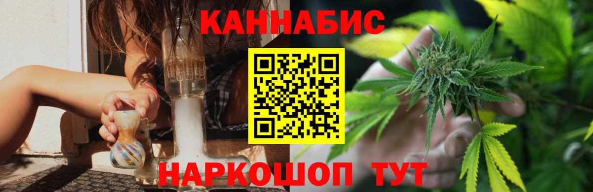 Бошки Шишки гибрид Тимашёвск